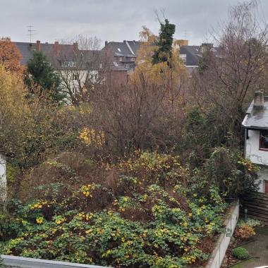 Ausblick vom Balkon - Apartment in 40878 Ratingen Innenstadt